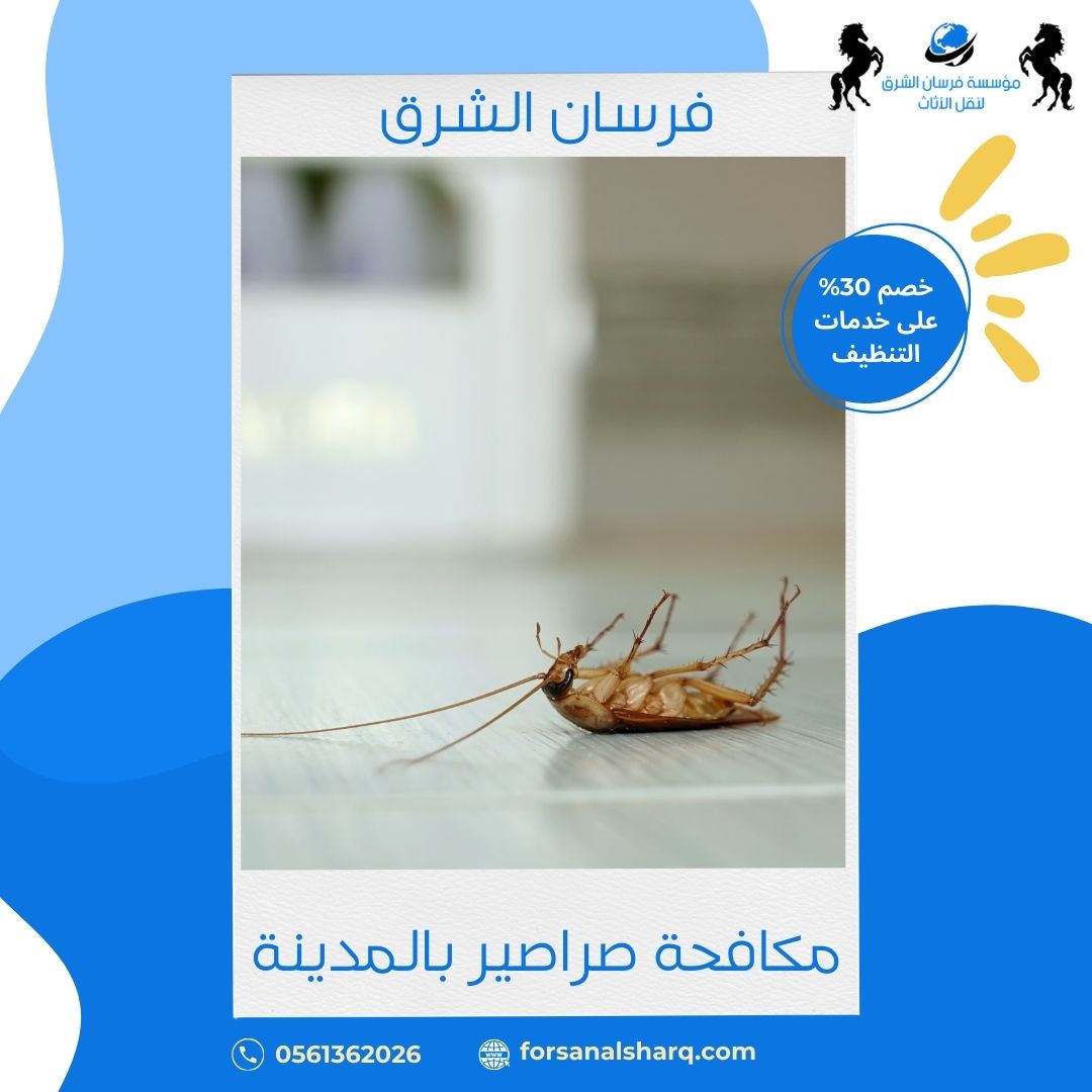 مكافحة صراصير بالمدينة المنورة