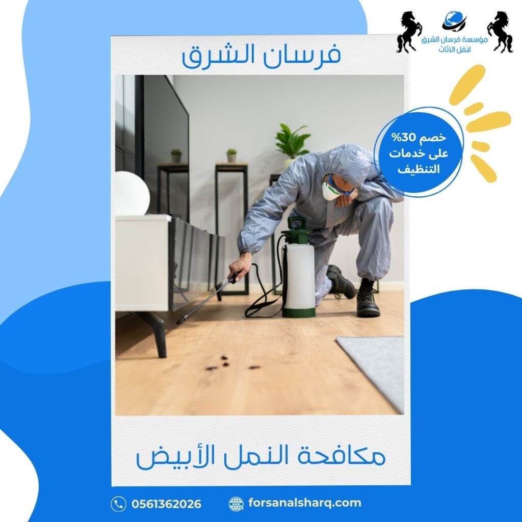 مكافحة النمل الأبيض بالمدينة المنورة